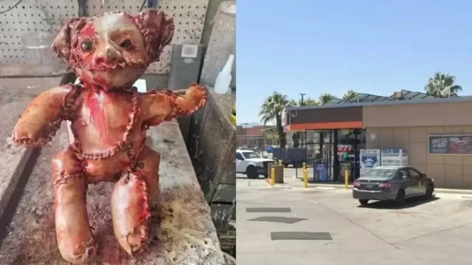 Descoberta de ursinho de 'pele humana' realista mobiliza polícia nos EUA